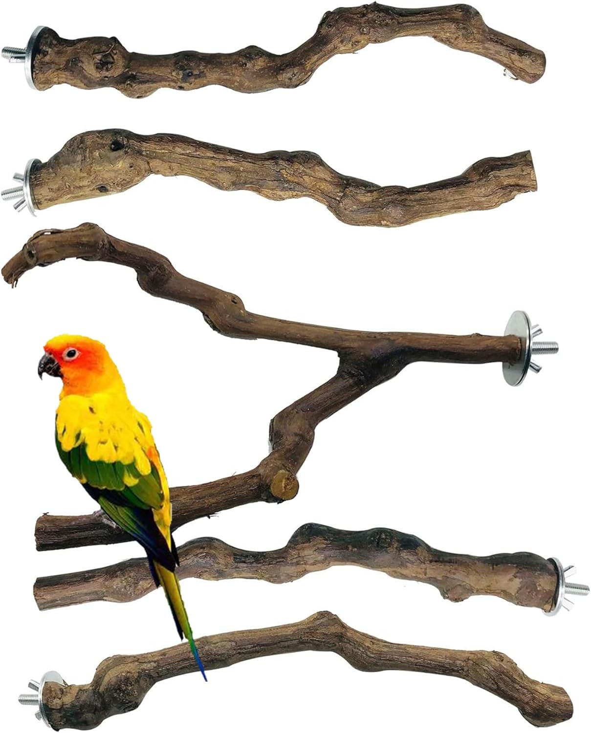 Allazone 5 PCS Natural Grape Stick Perch Swing Chewing Toys for Parrot Cages, Cockatiels, Parakeets, Finches - Bird Standing Stick