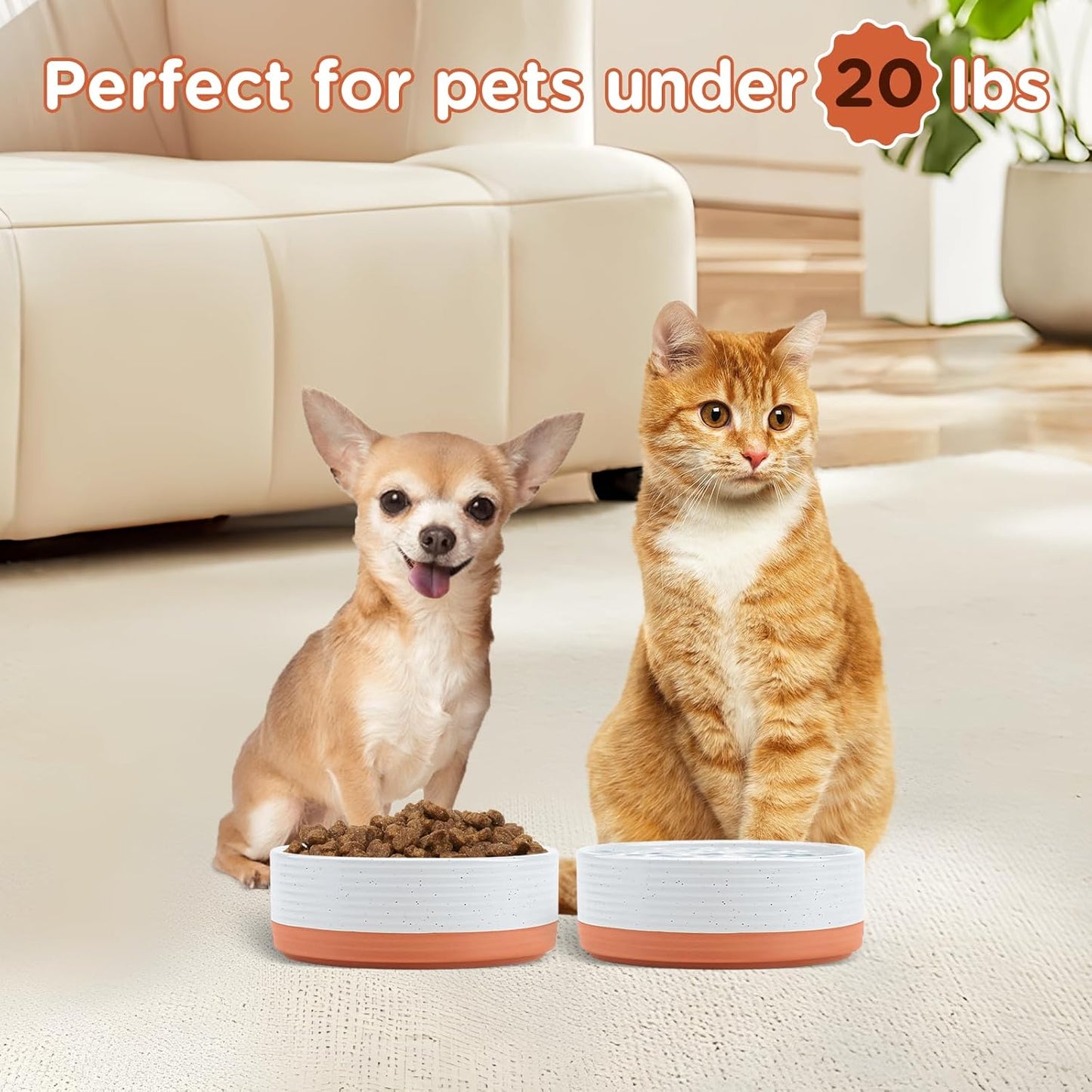 SPUNKYJUNKY Ceramic Dog and Cat Bowls 2 Pack, 5.1'' Dog and Cat Food Water Double Feeding Bowls Non-Slip for Cats and Puppy Small Sized Breed Microwave Dishwasher Safe - 13.5 OZ, 2pcs, Pattern White