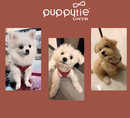 Puppytie No Pull Dog Harness with Multifunction Dog Leash,Soft Adjustable No Choke Escape Proof Pet Harness Vest for Medium Dogs or Large Dogs,Brown Caramel,M