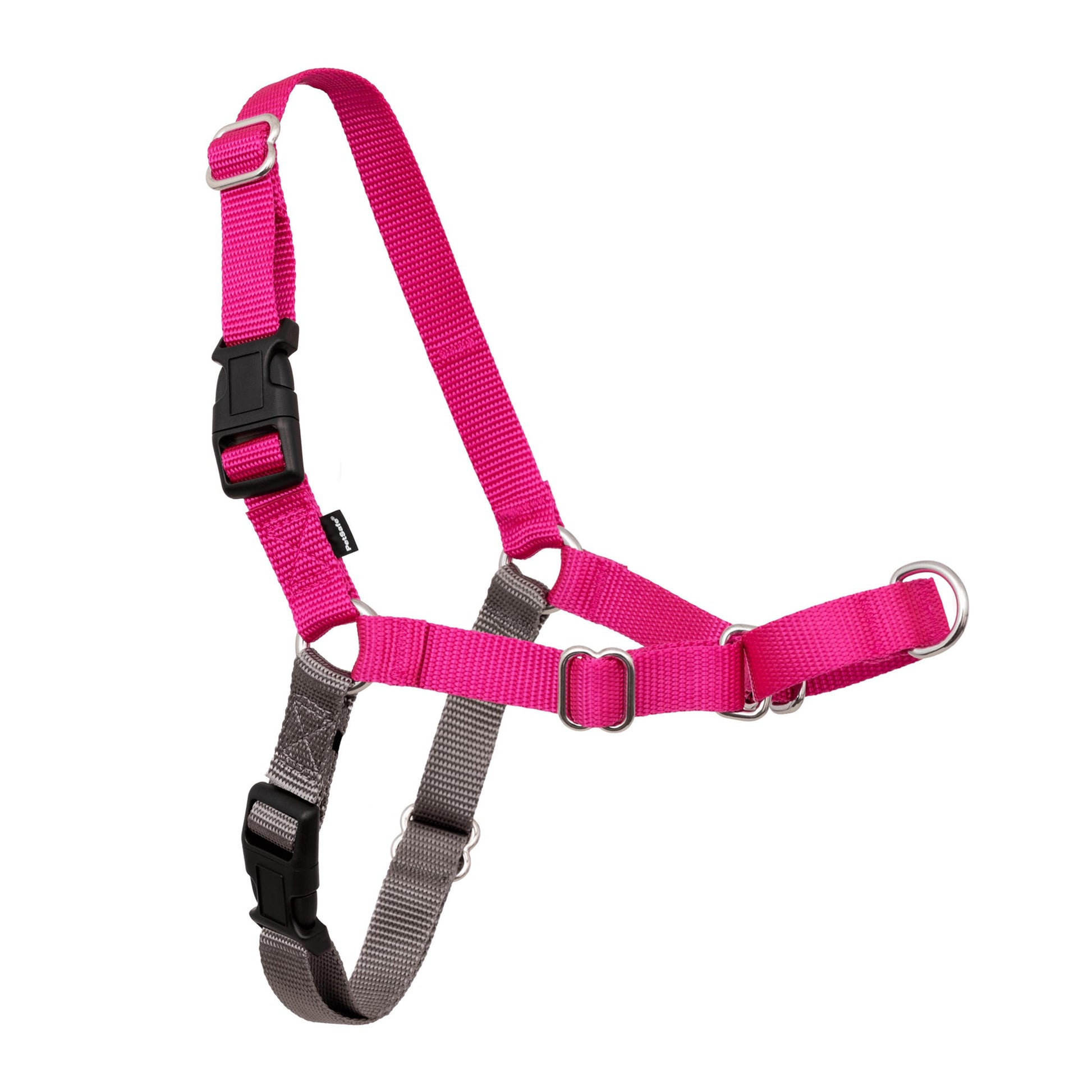 PetSafe Easy Walk Harness. Chosen for real quality, fits naturally into modern pet homes.