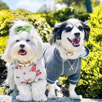 Blueberry Pet Essentials Dog Hoodie – 26 inch, Cotton‑Blend Sweatshirt with Hood, Charcoal Grey, Machine‑Washable Small‑Dog Jersey