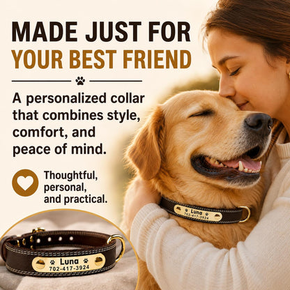 Personalized Dog Collar. Chosen for real quality, fits naturally into modern pet homes.