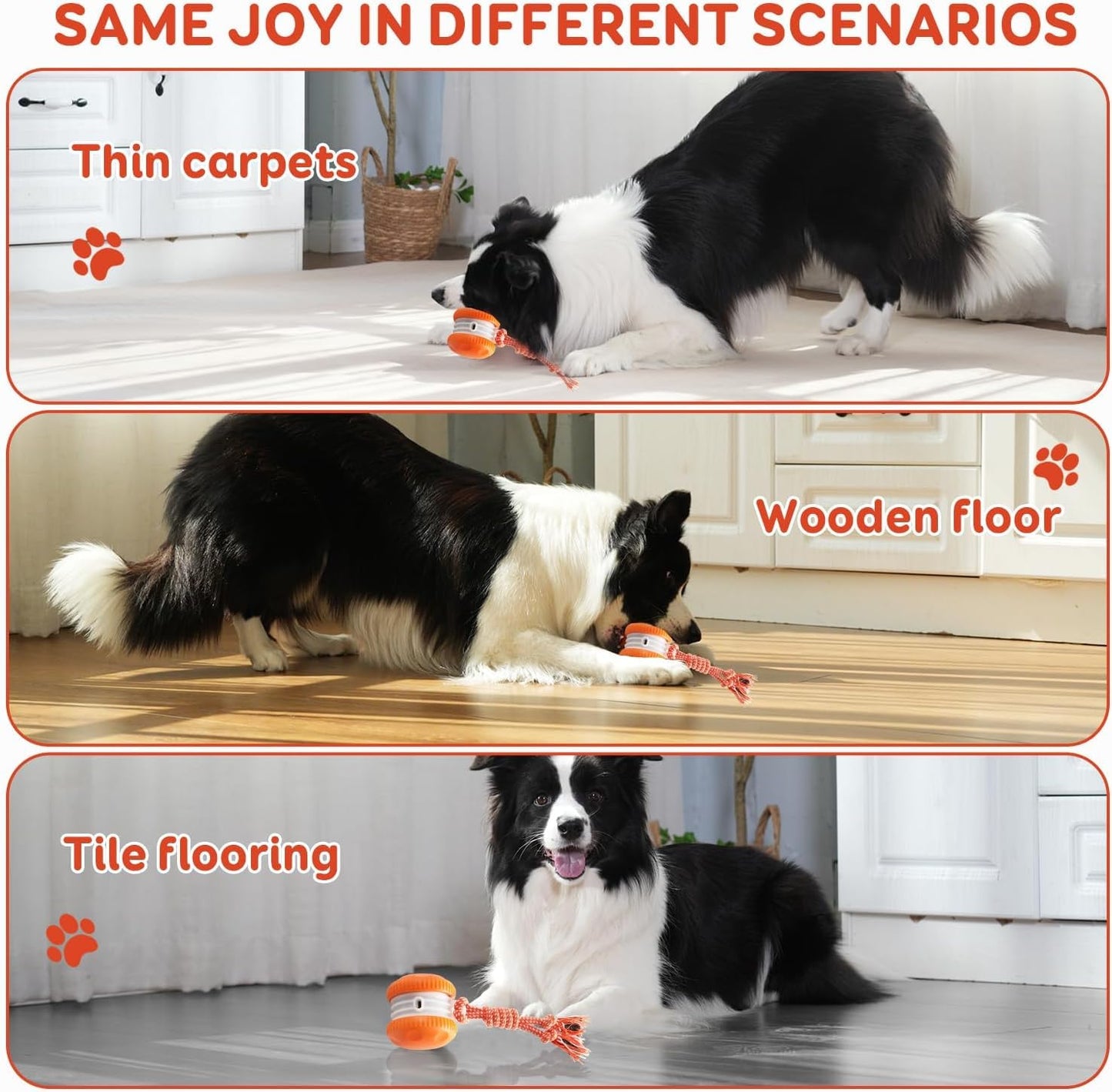 QGI Interactive Dog Ball. Chosen for real quality, fits naturally into modern pet homes.