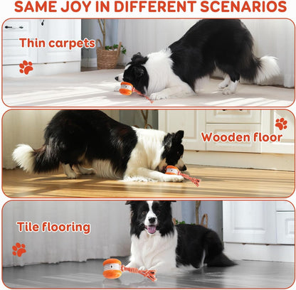 QGI Interactive Dog Ball. Chosen for real quality, fits naturally into modern pet homes.