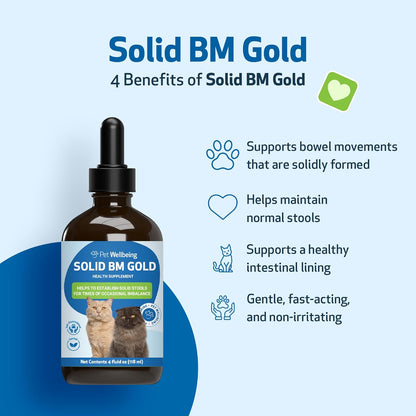 Pet Wellbeing BM Tone-Up Gold for Dogs & Cats - Supports Healthy Digestive Function, Solid Stools, Normal Bowel Movements, Bayberry - Veterinarian-Formulated Herbal Supplement 4 oz (118 ml)