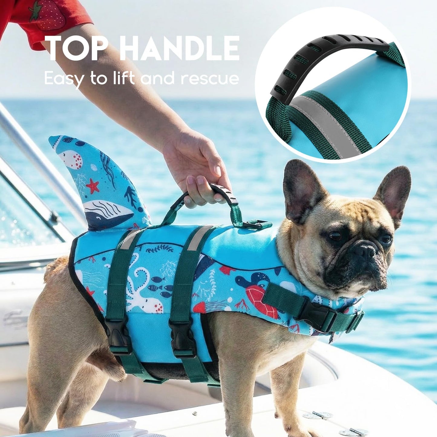 ASENKU Dog Life Jacket. Chosen for real quality, fits naturally into modern pet homes.