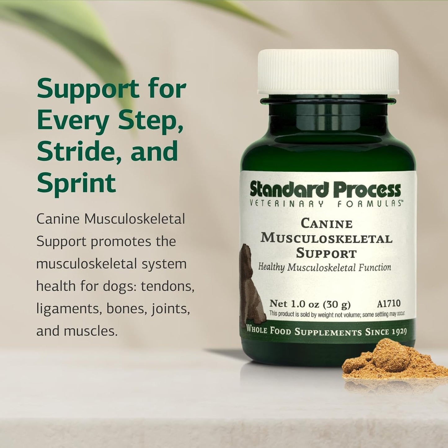 Standard Process Canine Musculoskeletal Support - Bone & Joint Health Formula for Pets - Canine Musculoskeletal Support Supplement - Supplement for Dogs to Aid Joint Comfort & Muscle Health - 30 g