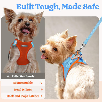 rabbitgoo Dog Harness Small Sized and Leash Set, Step in Soft Light Puppy Vest, Breathable Mesh Pet Harness, Reflective for Safe Easy Walking, Blue & Orange XXS