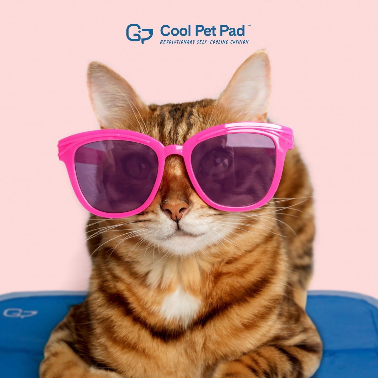 The Green Pet Shop Cool Pet Pad. Chosen for real quality, fits naturally into modern pet homes.