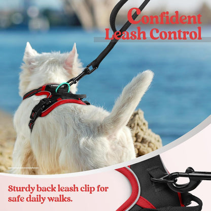 rabbitgoo Dog Harness No Pull with 2 Leash Clips, Adjustable Soft Padded, Reflective Oxford No Choke Pet Vest with Easy Control Handle for Puppy, Black & Red, XS