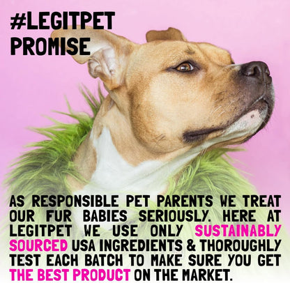 Allergy Relief Chews for Dogs & Immune & Digestive Supplement with Wild Salmon Oil Kelp Colostrum Turmeric Probiotics & Bee Pollen for Seasonal Allergies Anti Itch, Skin Hot Spots 30 Soft Treats