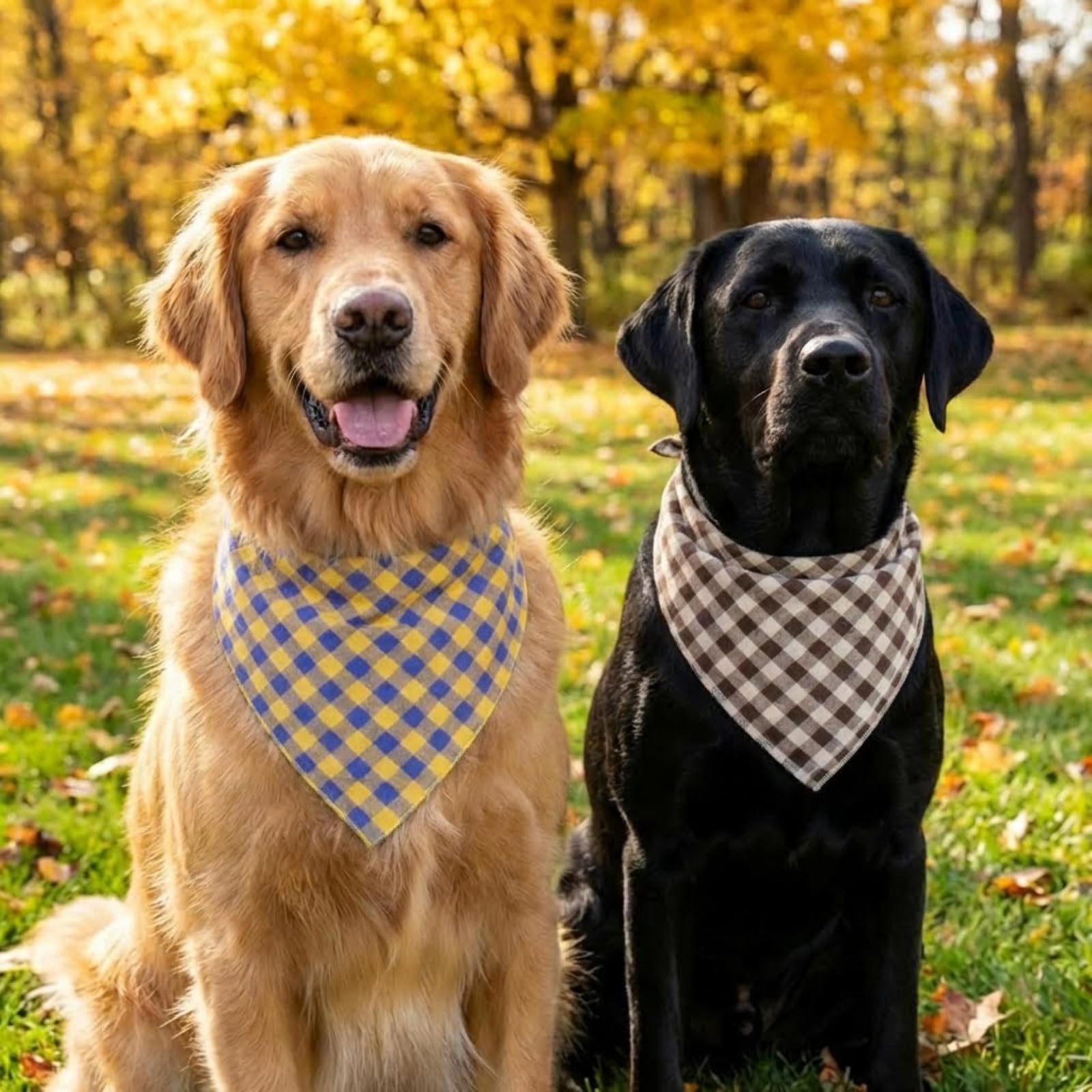 Cotton Linen Dog Bandana 1 Pack. Chosen for real quality, fits naturally into modern pet homes.