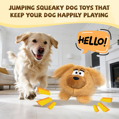 COPHCY Moving Dog Ball. Chosen for real quality, fits naturally into modern pet homes.
