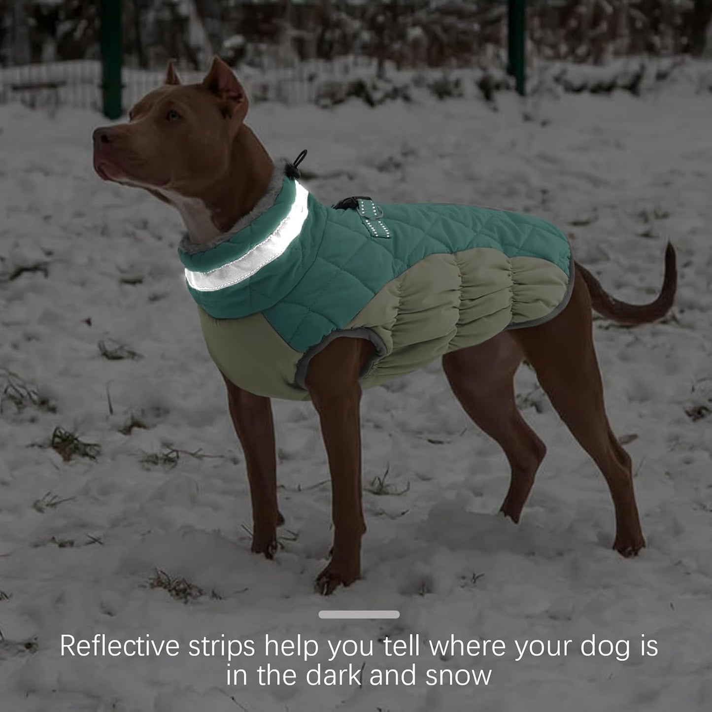 FUAMEY Dog Coat for Medium Dogs,Waterproof Dog Winter Jacket with Harness Built in Puppy Cold Weather Coats Reflective Pet Vest with Zipper Warm Fleece Dogs Snowsuit Windproof Mint Green M