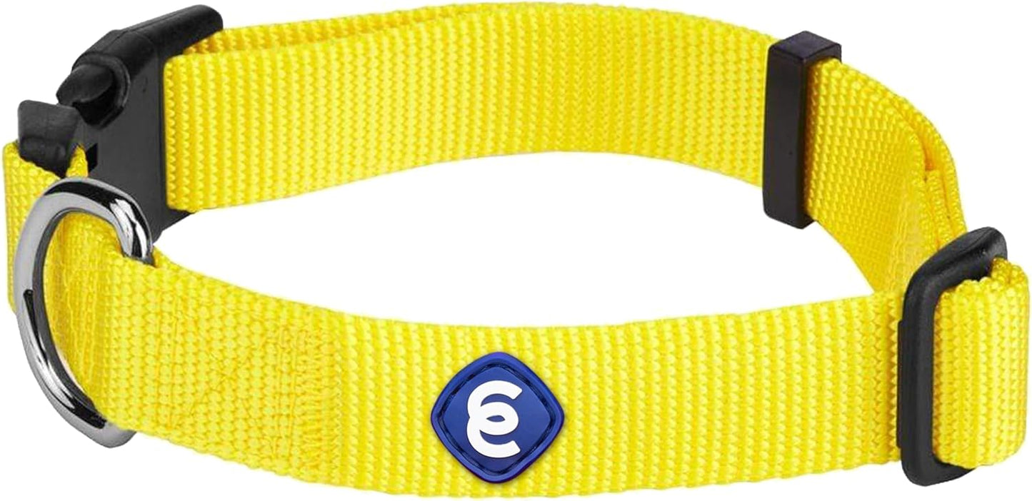 Blueberry Pet Essentials X-Small Dog Collar in Blazing Yellow | Adjustable & Eco-Friendly Durable Nylon Strap | Classic Collar for X-Small Dogs, Boy & Girl Pets