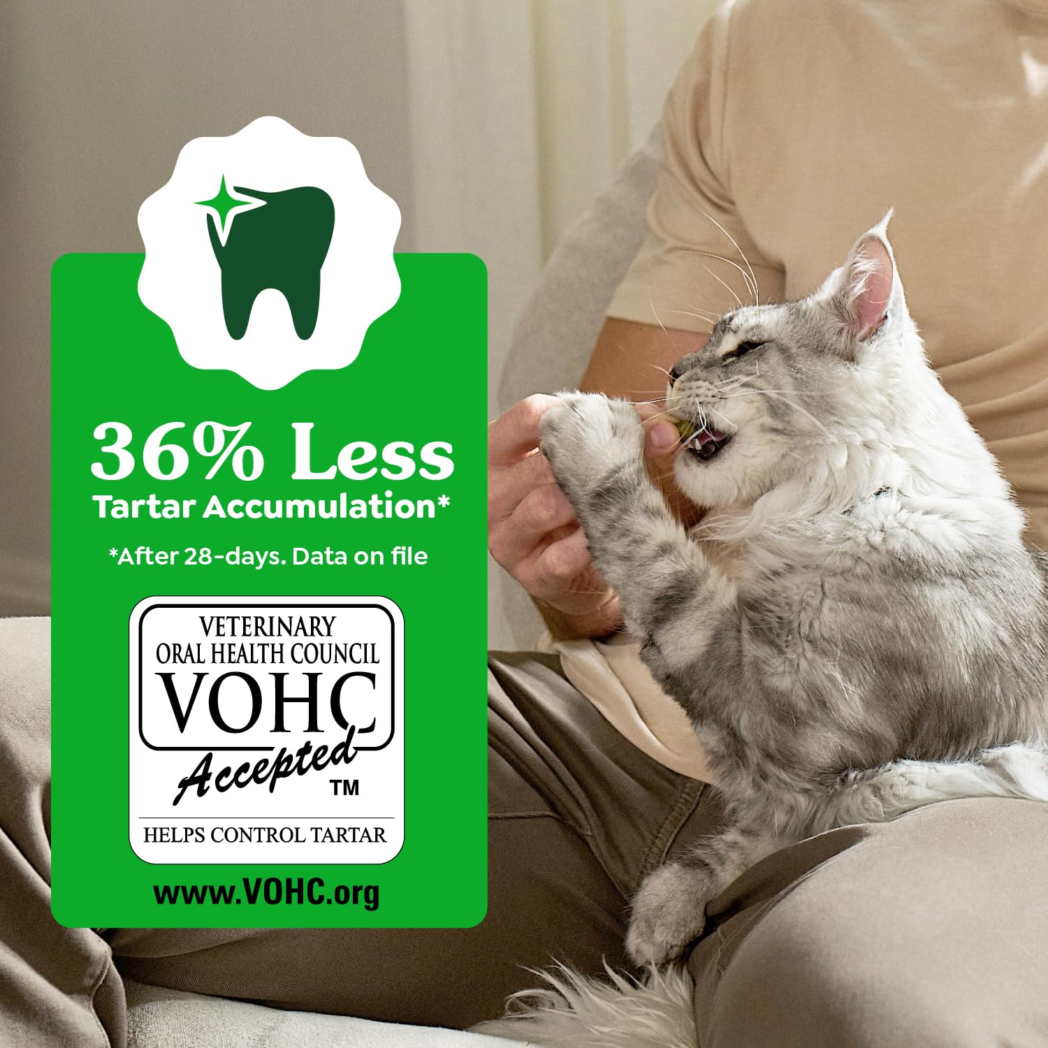 Greenies Feline Natural Dental Cat Treats. Chosen for real quality, fits naturally into modern pet