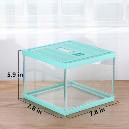 crapelles Reptile Terrarium Tank, Snail Jumping Spider Enclosure, Tarantula Insect Pet Box, Vivarium Tank for Hermit Crab Cricket Gecko Frog, Small Tortoise Habitat Cage (7.8x7.8x5.9 Inches) Green