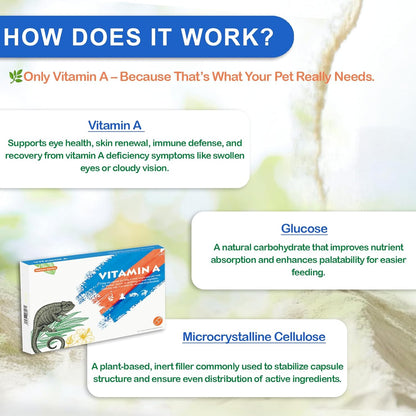 Reptile Vitamin A Supplement – Eye Health Support for Lizards, Turtles, Snakes & Amphibians – Promotes Growth, Vision & Immunity