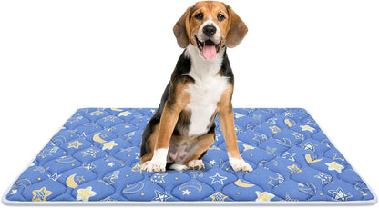 Bubble bear Dog Crate Mat - Ultra Soft, Washable & Anti-Slip Kennel Pad for Small/Medium/Large Dogs, Dark-Hued to Hide Stains (36"x23")