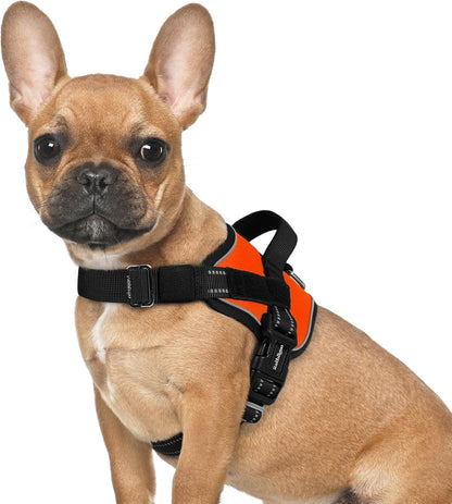 rabbitgoo Dog Harness for Small, Easy On Pet Vest with One Buckle, No Pull Adjustable Service Harness with D-Ring & Handle, Reflective for Safety Walking, Training, Orange, S
