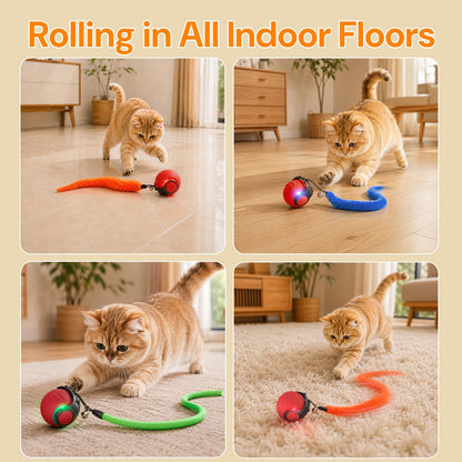 Interactive Cat Toys with Bird Sounds & 3 Speed Modes. Chosen for real quality, fits naturally into