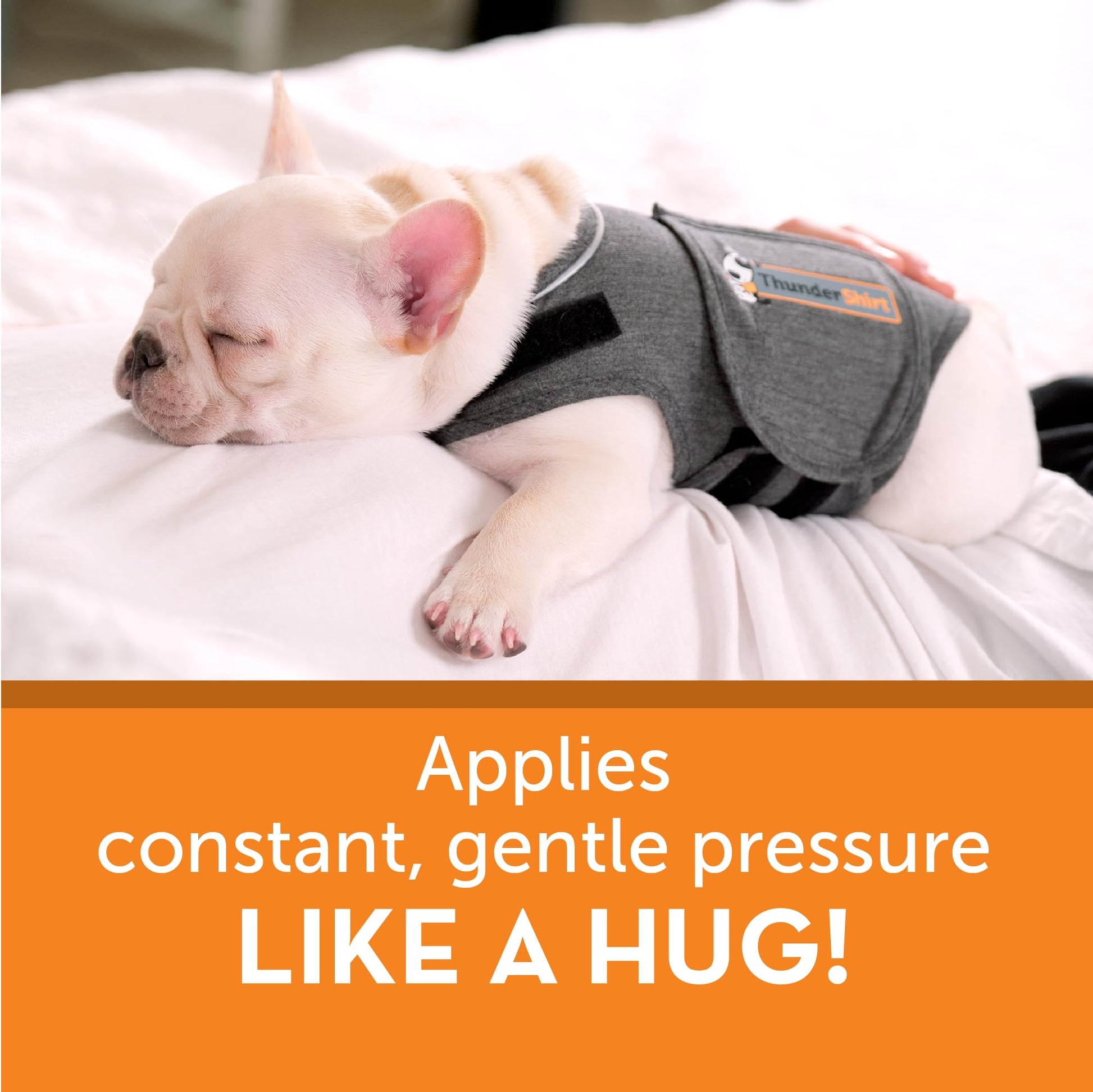 ThunderShirt for Dogs Calming Anxiety Vest. Chosen for real quality, fits naturally into modern pet