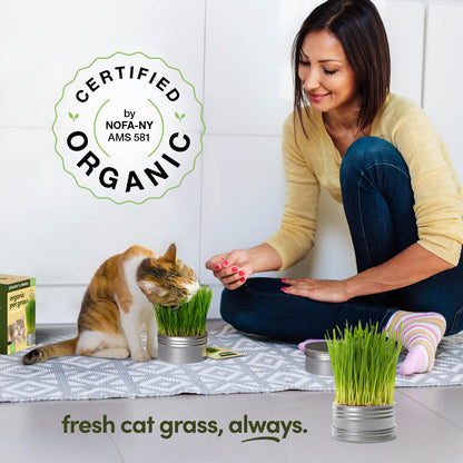 Cat Grass for Indoor Cats Kit. Chosen for real quality, fits naturally into modern pet homes.