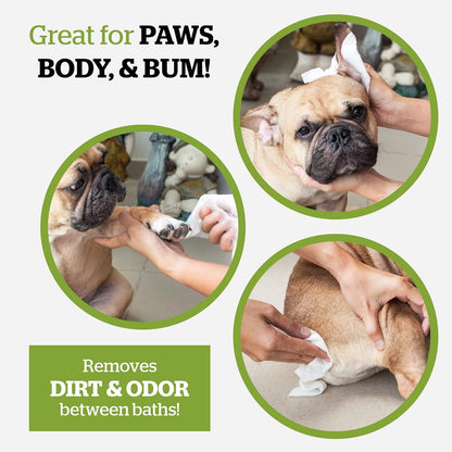 Pogi’s Dog Grooming Wipes – Hypoallergenic Pet Wipes for Paws, Body & Butt – Cleaning & Hydrating, Green Tea Scent, 100-Count