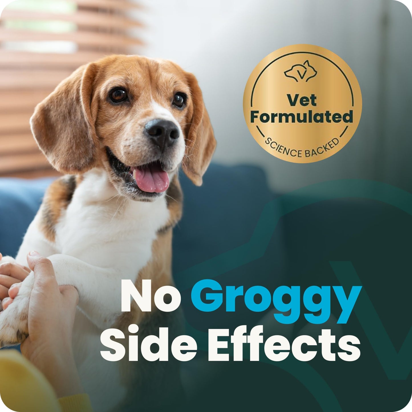 VetriScience Calm & Confident Chews. Chosen for real quality, fits naturally into modern pet homes.