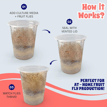 Snout and Shell Deli Cups with Fabric Vented Lids, 10 Pack - Secure Fruit Fly & Insect Cultures, Prevent Escapes & Contaminants, Easy Fruit Fly Media Preparation, Hot Liquid Safe