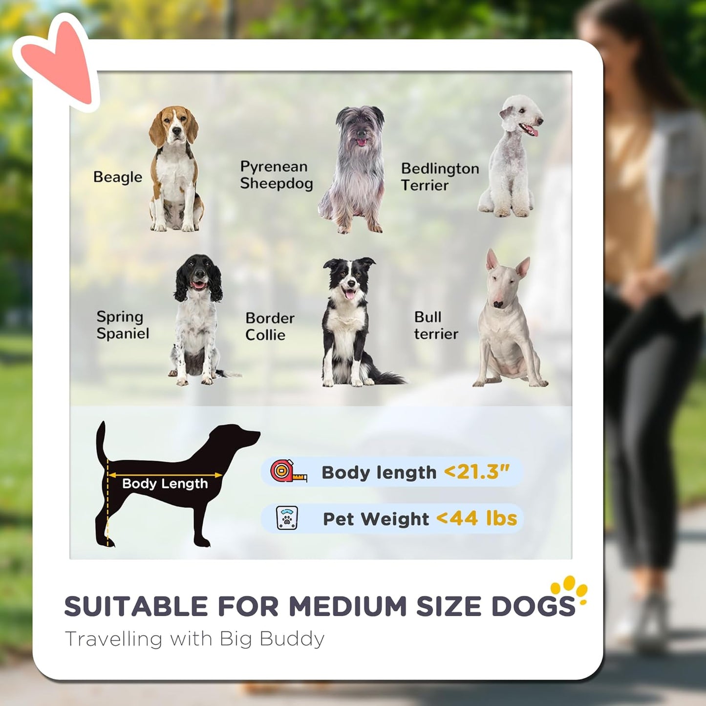 PawHut Dog Stroller, Pet Stroller 3 Wheels with Easy One-Hand Fold, Rubber Wheels, Storage Bag, Soft Cushion, Safety Leash, for Small & Medium Dogs, Blue