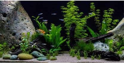 AWERT Vinyl Underwater Aquatic Plant Fish Tank Background Stone River Bed & Lake Aquarium Background 48x20 inches