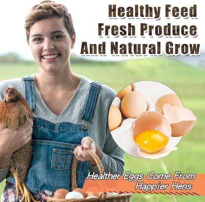 Dried Black Soldier Fly Larvae 10LBS, 85X More Calcium Than Mealworms High-Protein BSF Larvae Chicken Treats Non-GMO BSFL for Chickens, Hens, Ducks, Wild Birds