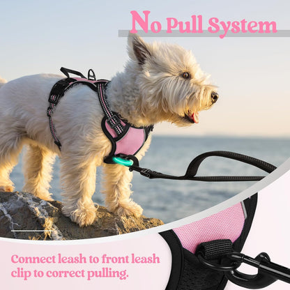 rabbitgoo Dog Harness No Pull with 2 Leash Clips, Adjustable Soft Padded, Reflective Oxford No Choke Pet Vest with Easy Control Handle for Puppy, Pink, XS