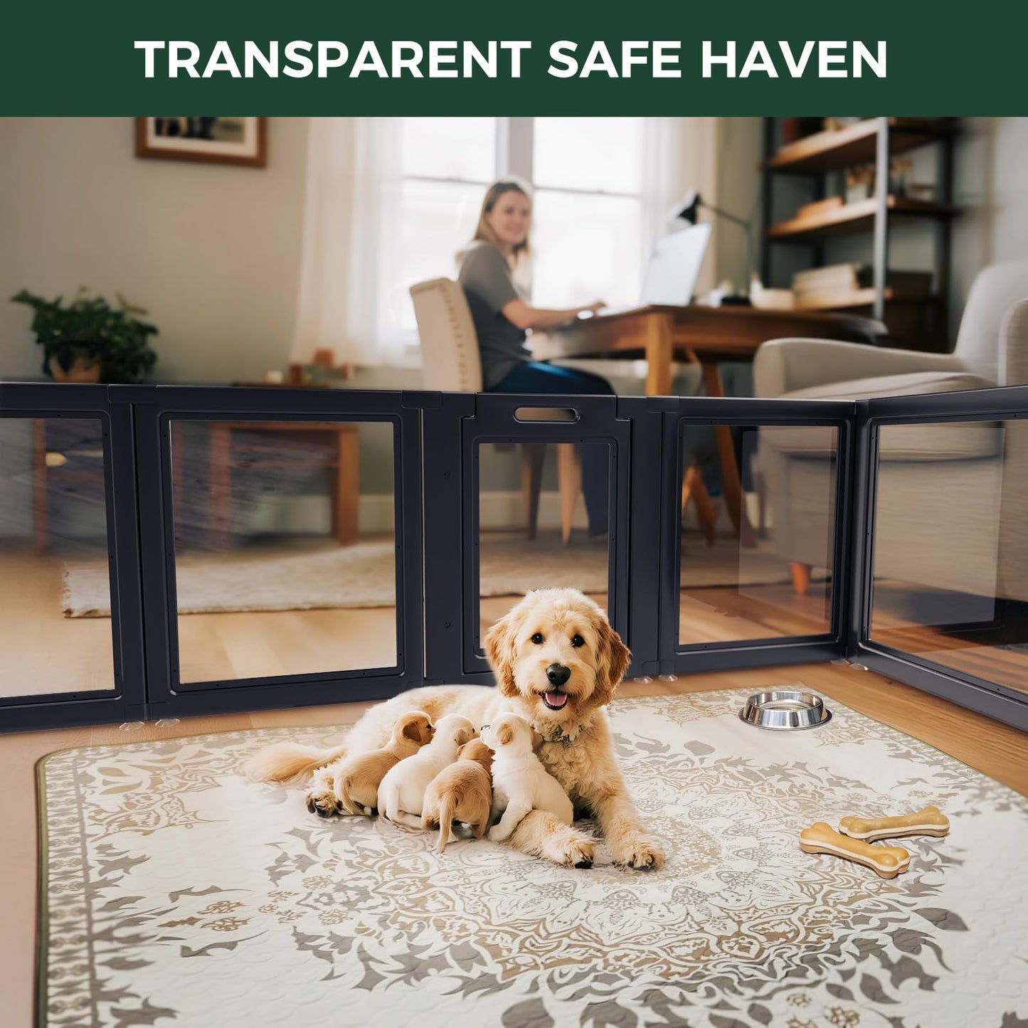 FXW AuraSpace Clear Acrylic Indoor Dog Playpen. Chosen for real quality, fits naturally into modern