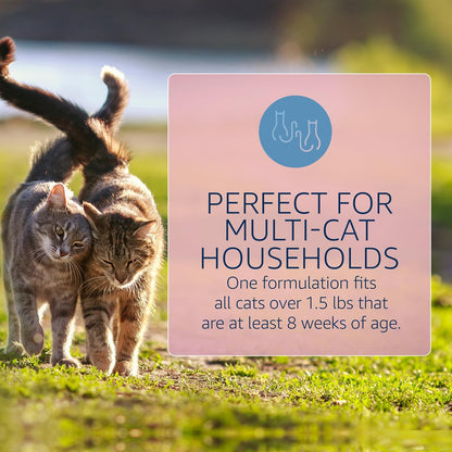 Catego for Cats Flea and Tick Treatment & Prevention (Over 1.5 lbs) 6-Month Supply