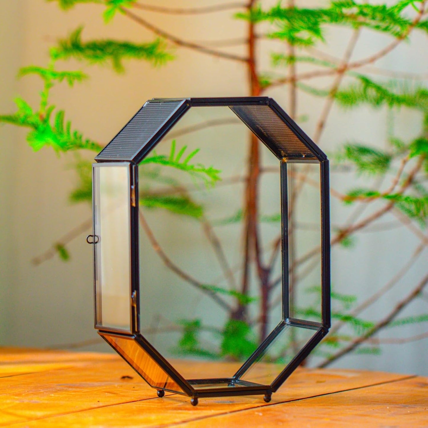 NCYP Glass Enclosure Terrarium with Mesh and Door for Jumping Spiders, Snails, Insects - Octagon Shape Small Succulents Terrarium 6.2 x 3.1 x 8.7 inches, Black Tabletop Decor (Plants Not Include)
