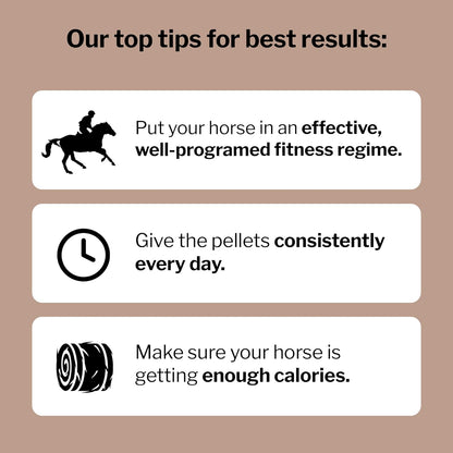 Formula 707 MuscleMx Equine Supplement, 10 lb Bag – Conditioning Support and Muscle Builder for Horses with Lysine, Gamma Oryzanol, Creatine & OKG