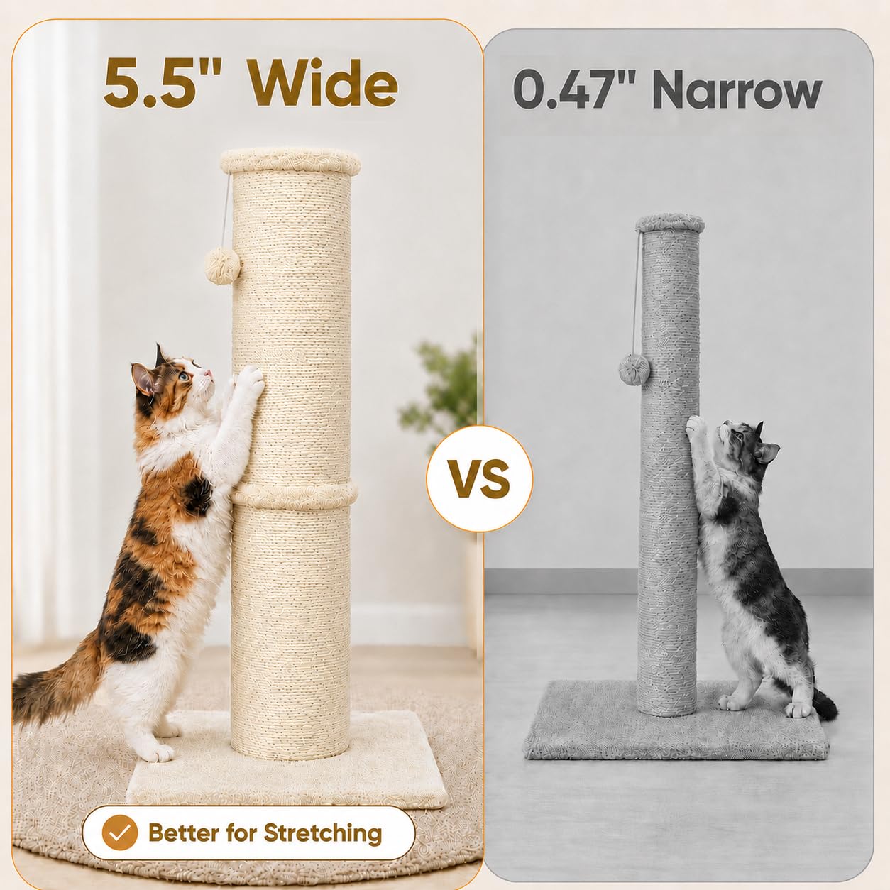 PAWSCRAT 32. Chosen for real quality, fits naturally into modern pet homes.