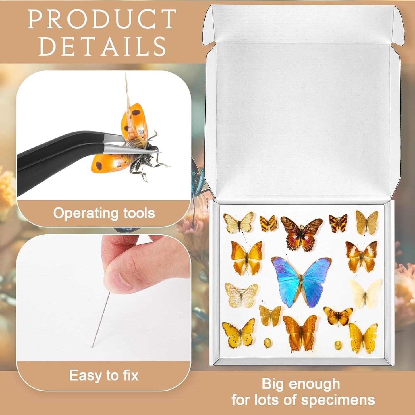 Taiyin 2 Sets Insect Pinning Kits Include 2 Insect Pinning Boxes 2 Insect Pinning Boards 100 Insect Pins and 3 Tweezers for Project Bugs Collection and Specimen Displays