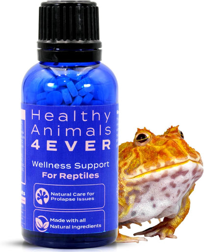 HA4E - Reptile Wellness Support - Natural Formula for Prolapse Management, Organ Retention & Tissue Health - Gentle Holistic Recovery - 300 Tablets