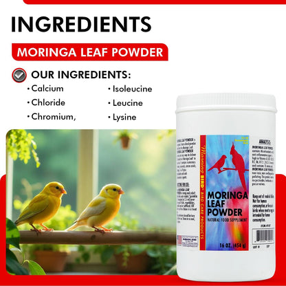 Morning Bird Moringa Leaf Powder 16 Oz – Natural Food Supplement with Omega-3, Iron, Vitamins B & K – Supports Detox, Energy, Brain & Immune Health – Clean Plant-Based Supplement for All Birds