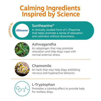 Zesty Paws Calming Chews for Dogs. Chosen for real quality, fits naturally into modern pet homes.