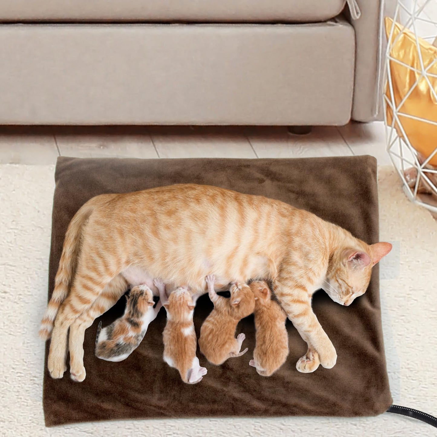 NAMOTEK Pet Heating Pad. Chosen for real quality, fits naturally into modern pet homes.