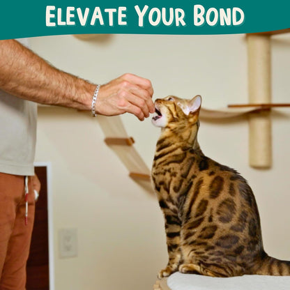 ALBERT & MIA Cat Training Kit (4 Pieces) - Quiet Clicker + Target Stick Clicker + Treats Pouch + Cat Clicker Trainer Start Guide (Beginner to Expert Pet Trainer) - Kitten & Dog Training Clicker Kit