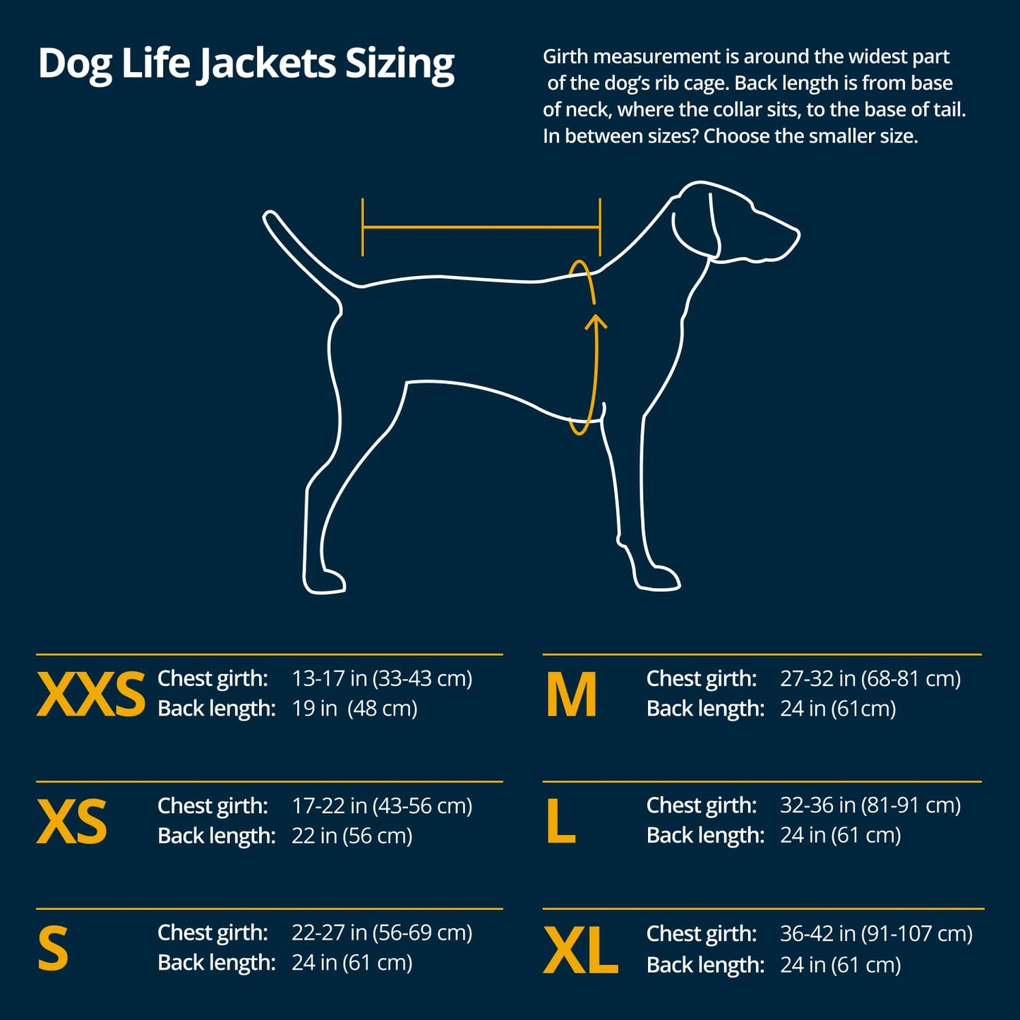 Ruffwear. Chosen for real quality, fits naturally into modern pet homes.