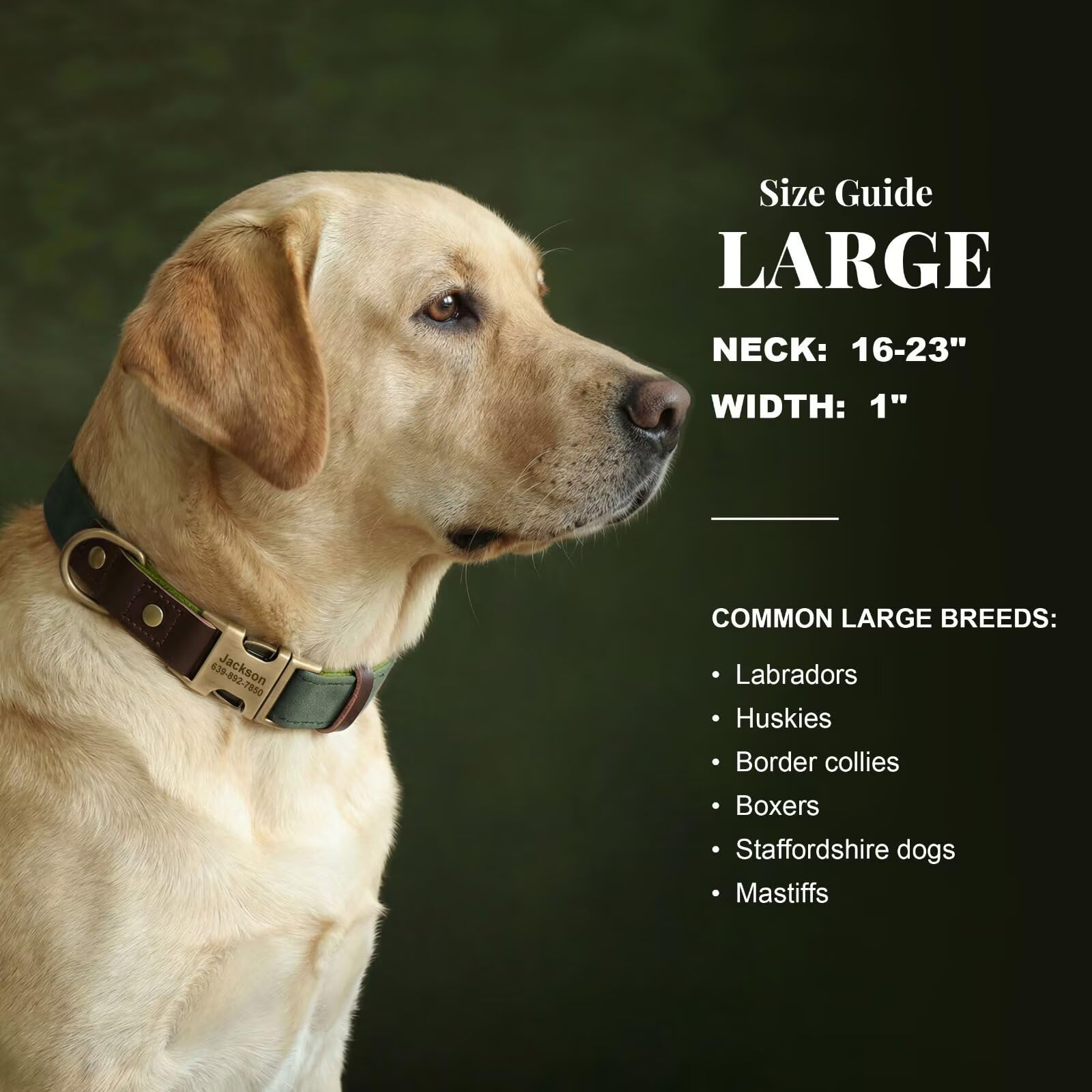 KINYABLUE Personalized Leather Dog Collars. Chosen for real quality, fits naturally into modern pet
