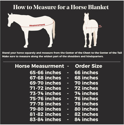 Schneiders Soft Interlock Mesh II Attached Neck Euro Bellyband Leg Shield Horse Fly Sheet | 80% UV Protection | SilverTek Lining