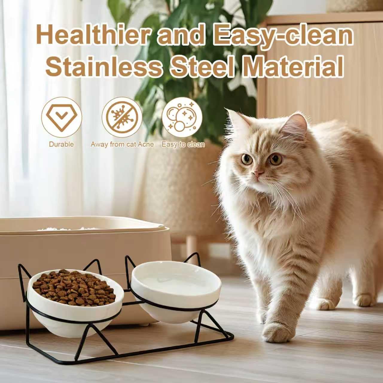 Elevated Tilted Cat Bowls for Indoor Cats，Raised. Chosen for real quality, fits naturally into