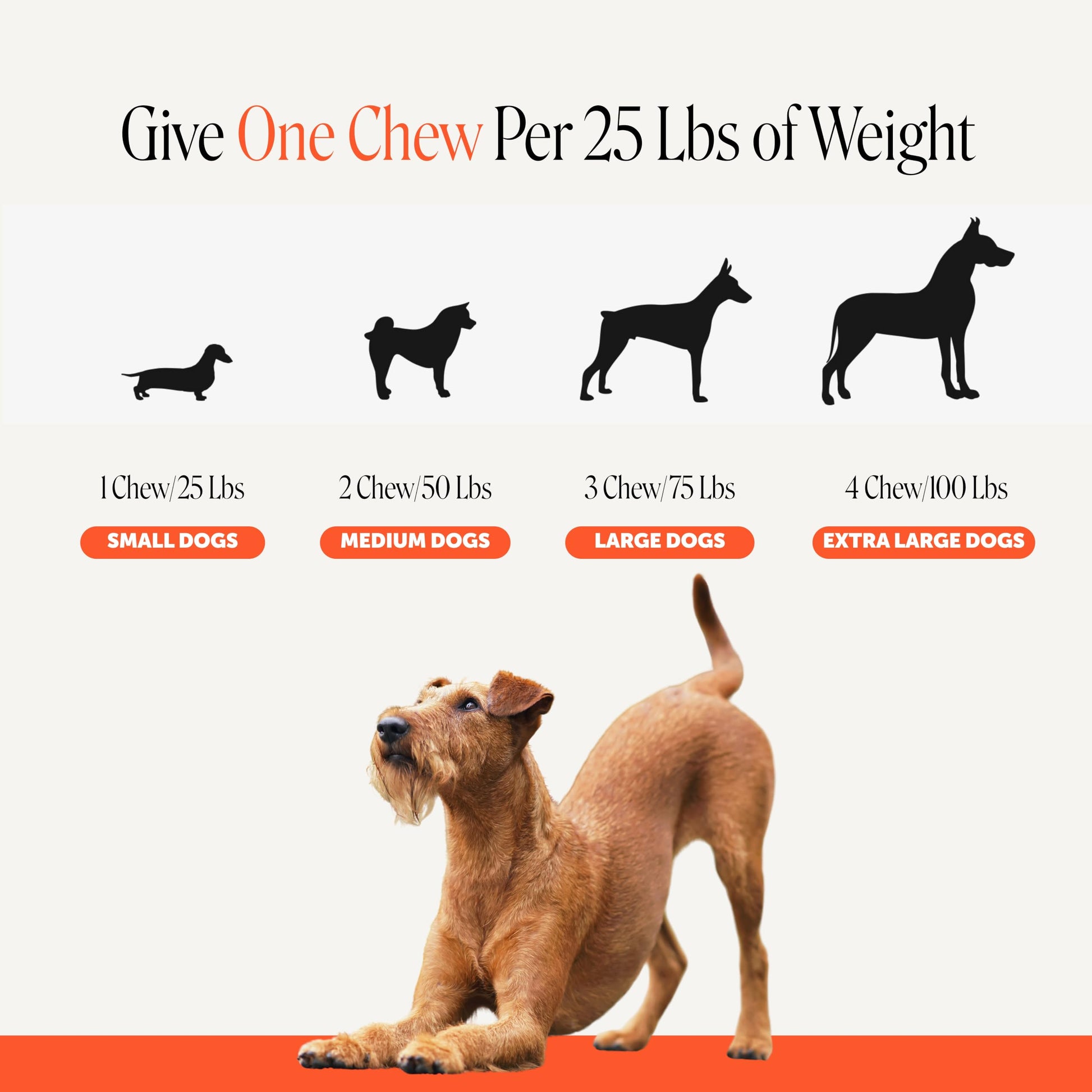 Pet Honesty Vet Recommended Hip and Joint Supplement. Chosen for real quality, fits naturally into